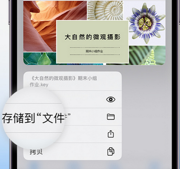 群英乡apple维修中心分享iPhone文件应用中存储和找到下载文件