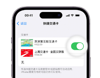 群英乡apple维修点分享iPhone上更换Apple Pay快捷交通卡手绘卡面 