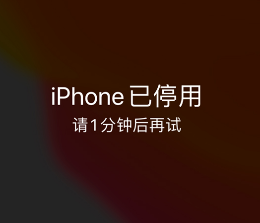 群英乡苹果手机维修分享:iPhone 显示“不可用”或“已停用”怎么办？还能保留数据吗？ 