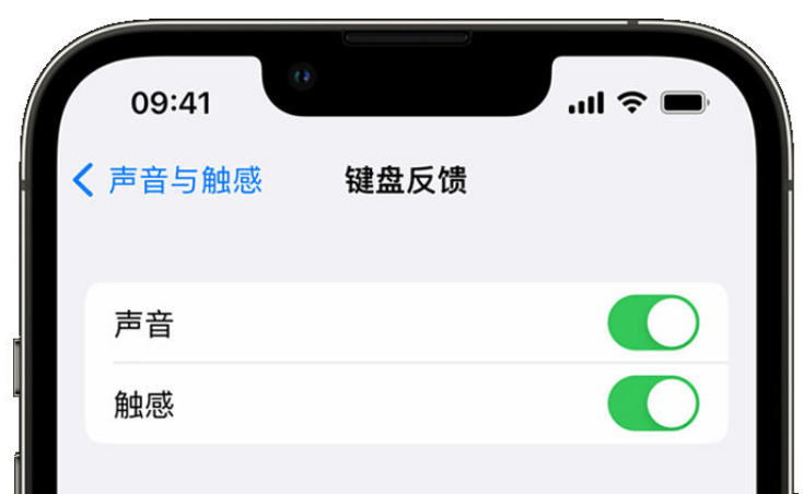 群英乡苹果手机维修分享iPhone 14触感键盘使用方法 