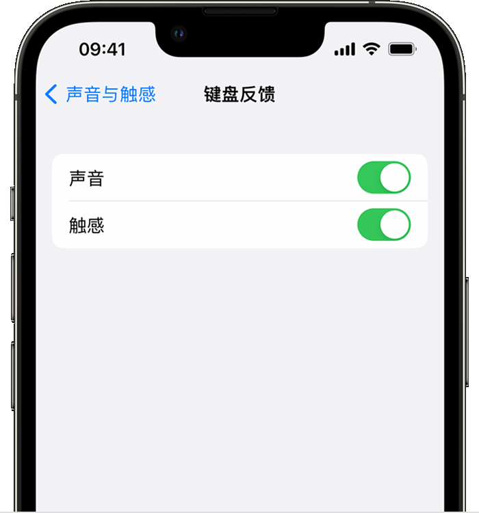 群英乡苹果14维修店分享如何在 iPhone 14 机型中使用触感键盘 