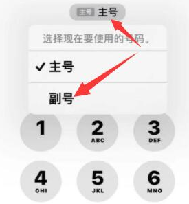 群英乡苹果14维修店分享iPhone 14 Pro Max使用副卡打电话的方法 