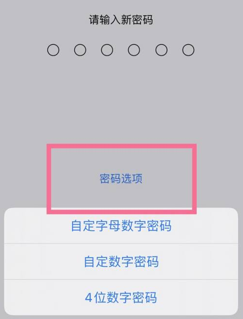 群英乡苹果14维修分享iPhone 14plus设置密码的方法 