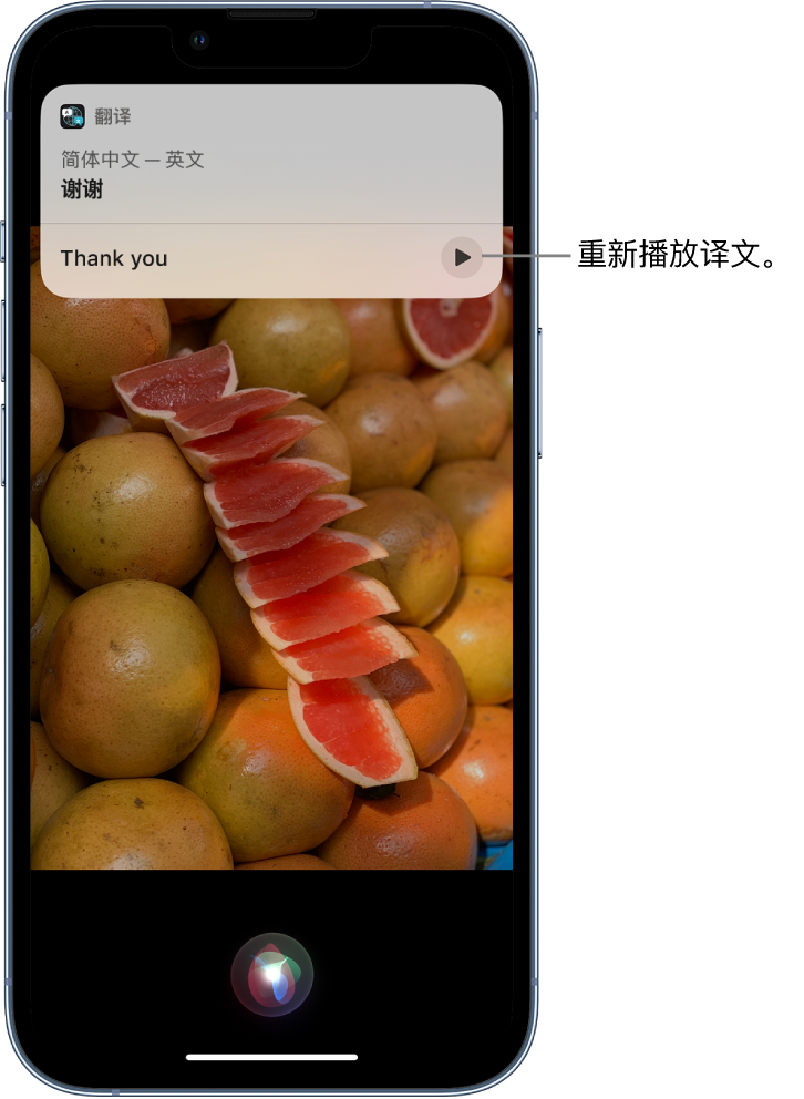 群英乡苹果14维修分享 iPhone 14 机型中使用 Siri：了解 Siri 能帮你做什么 