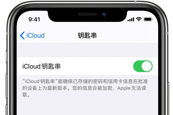 群英乡苹果手机维修分享在 iPhone 上开启 iCloud 钥匙串之后会储存哪些信息 