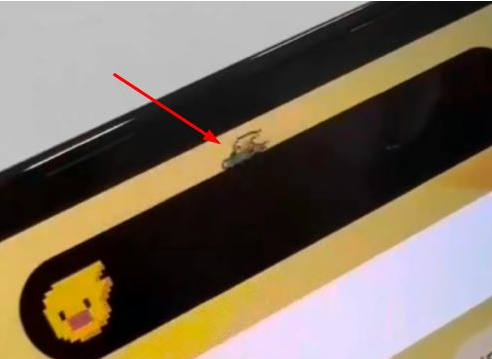 群英乡苹果14维修分享iPhone 14 Pro Max灵动岛怎么养宠物 