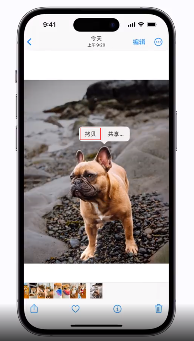 群英乡苹果手机维修分享 iOS 16 自带一键抠图功能 