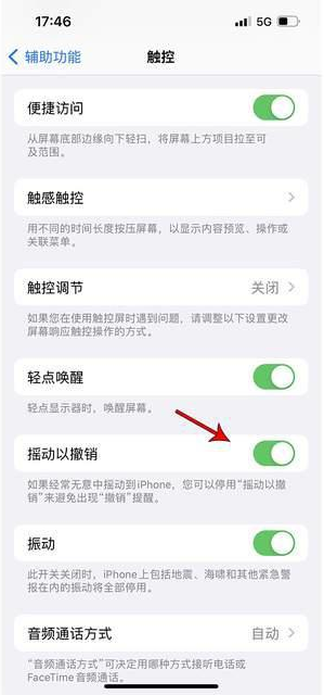 群英乡苹果手机维修分享iPhone手机如何设置摇一摇删除文字 