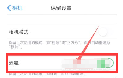 群英乡苹果13维修分享iPhone13拍照有绿点是怎么回事 